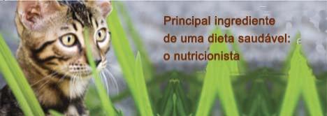 Ingrediente essencial para uma dieta balanceada para seu gato: nutricionista animal.